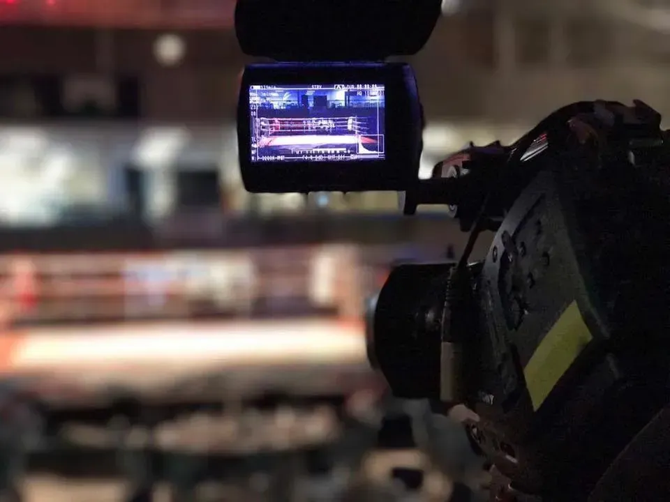 A person is using a video camera to record a scene