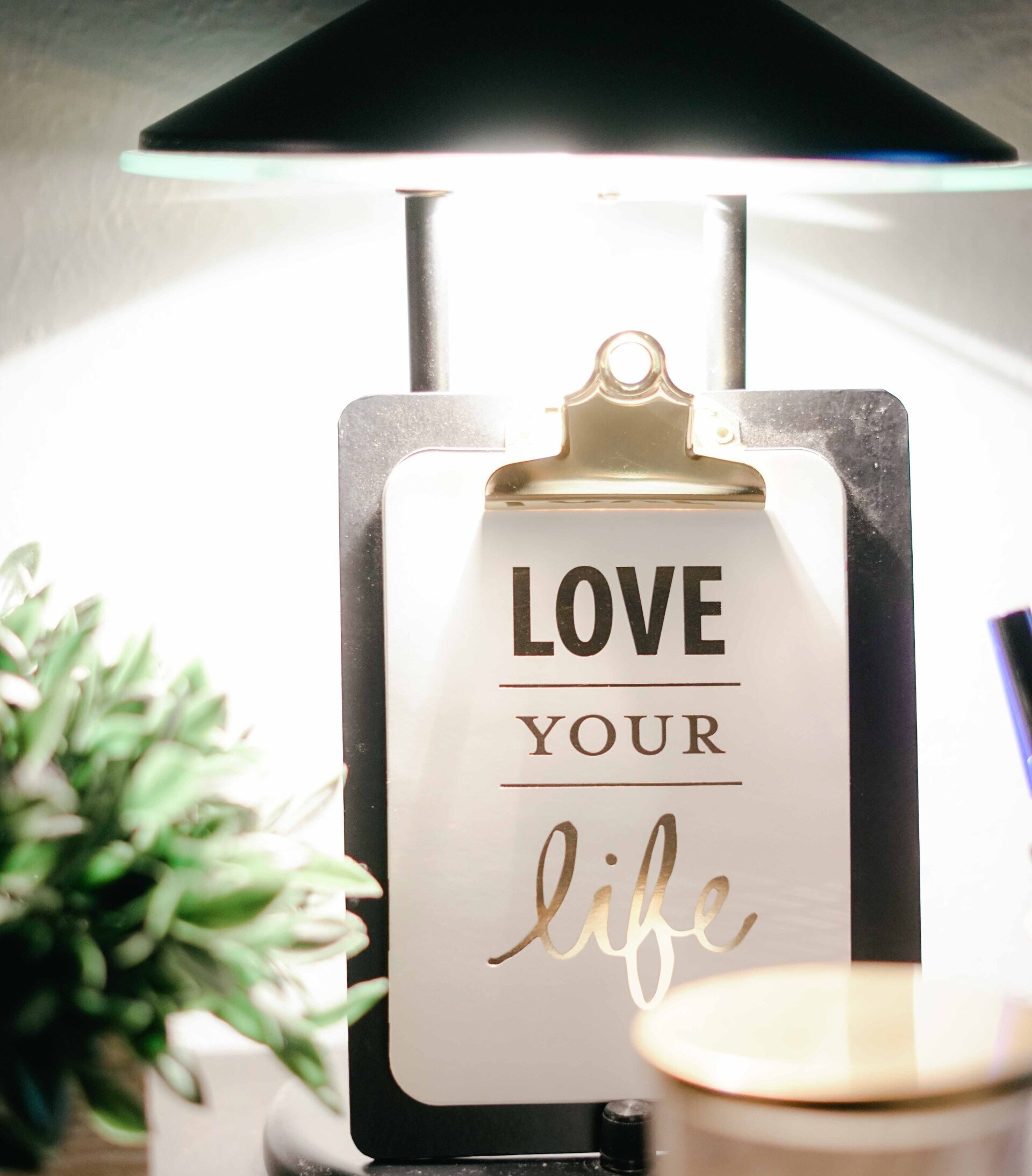 love your life quote