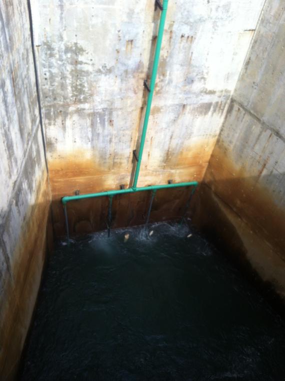 Concrete water tank with green pipes and water bubbling at the bottom.