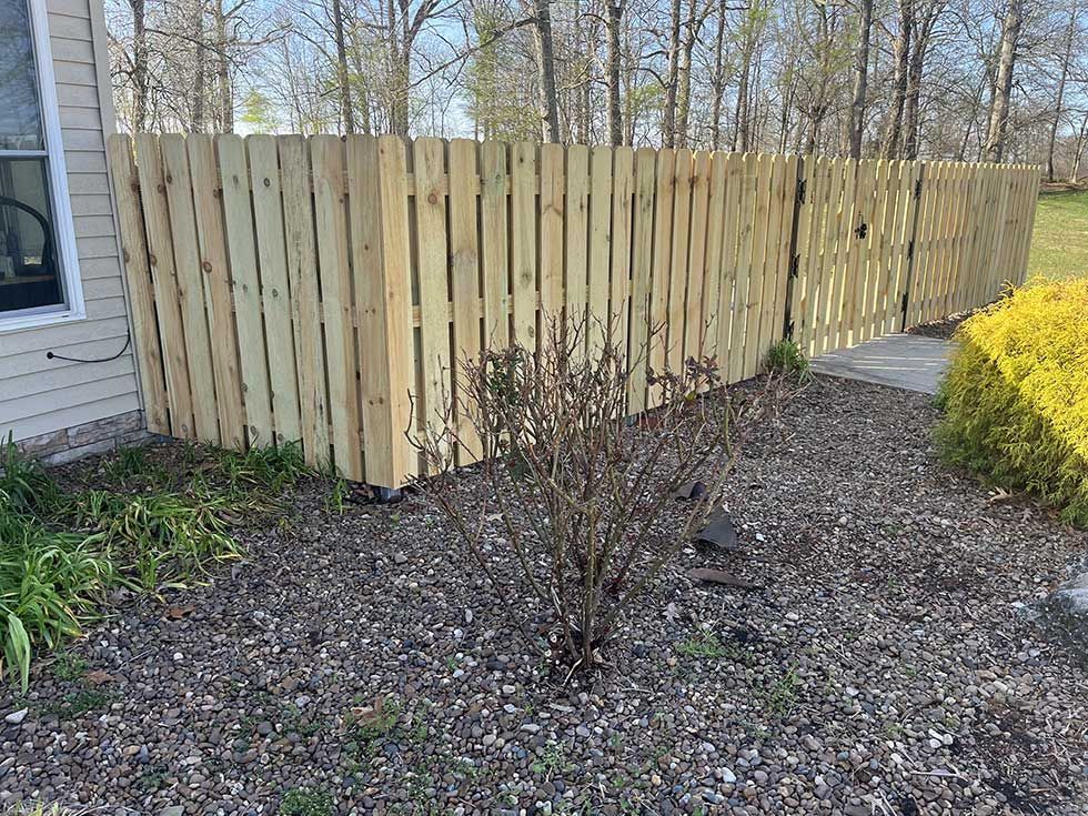 Wooden fence with gate, bordering a yard with mulch and small bushes.