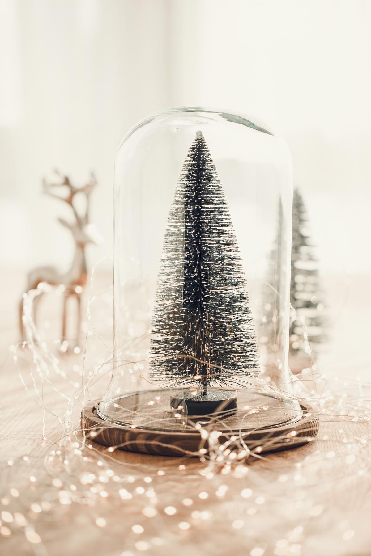 Jabones y velas orgánicos artesanales