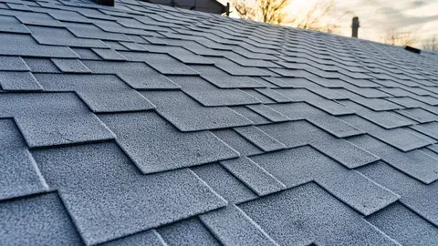 A close up of a roof with shingles on it.