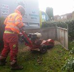 Commercial stump removal