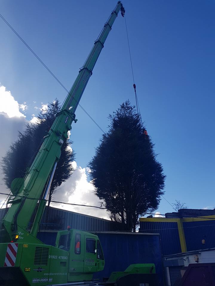 Bush cutting