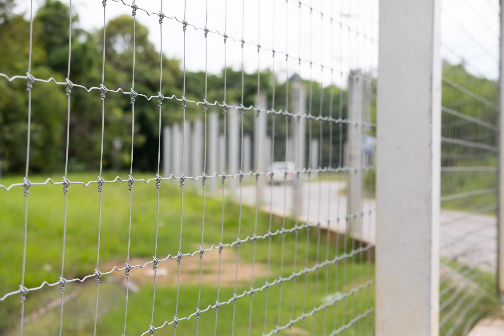 Modern woven wire fence on concrete poles.