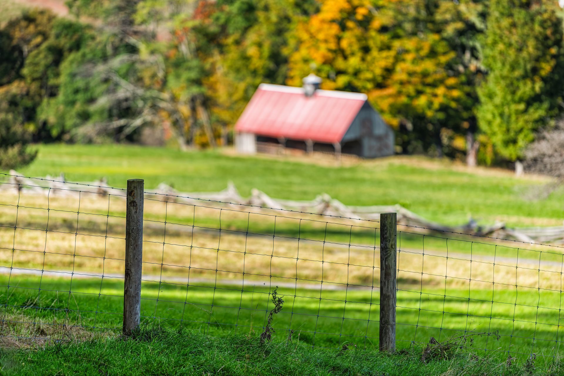 Barbed woven wire farming fence at a green grass farm field.