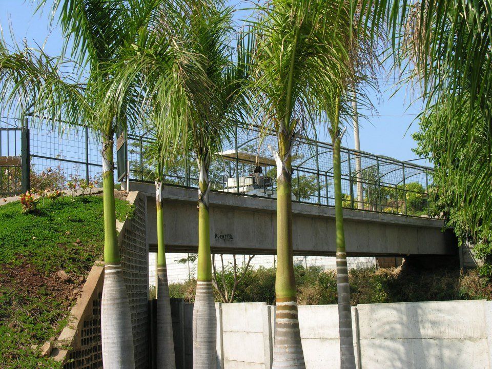 Concreto Industrial S.A