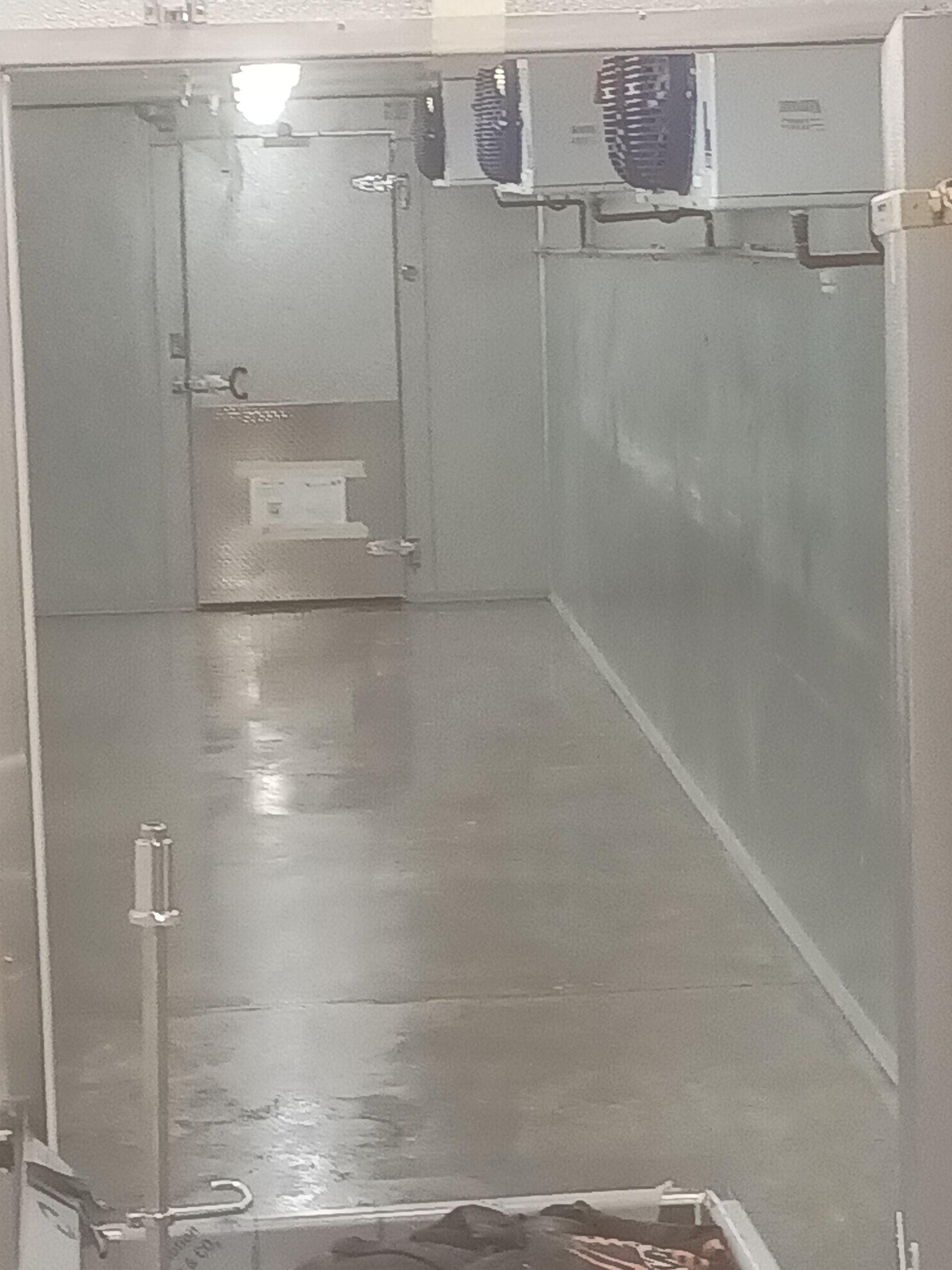 Polished concrete floor in commercial freezer room with epoxy protective coating