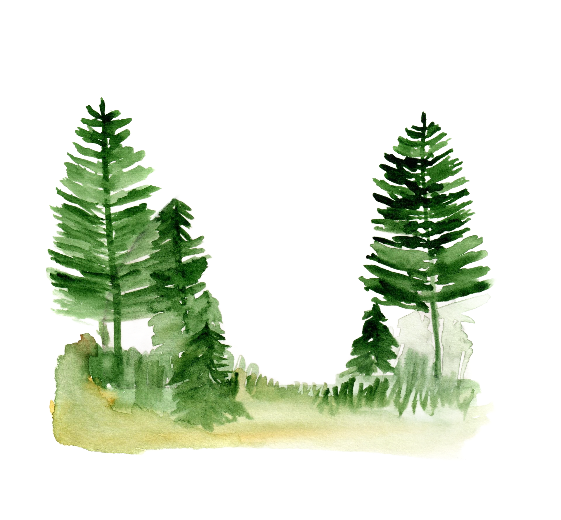 A circular watercolor painting of a foggy forest at sunrise with soft, muted tones of yellow, green, and gray.