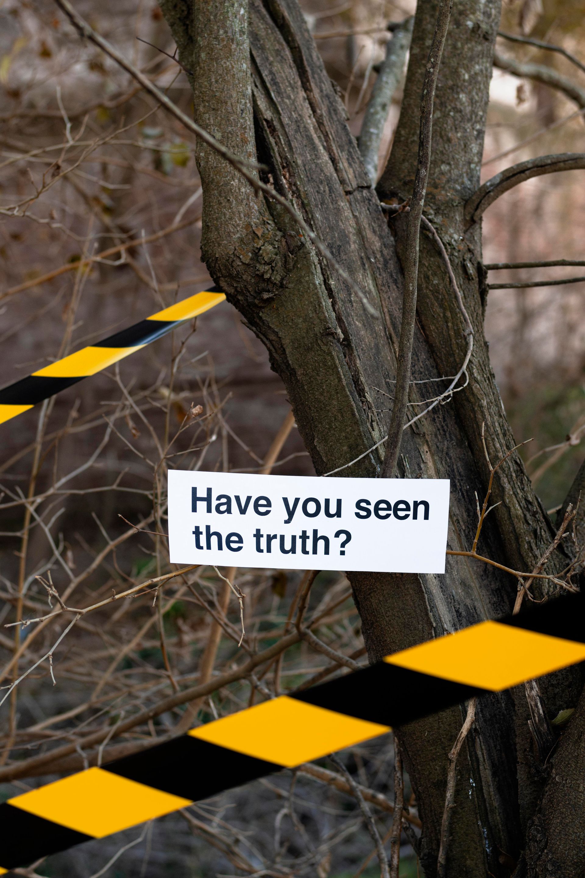 Sign on a tree: 
