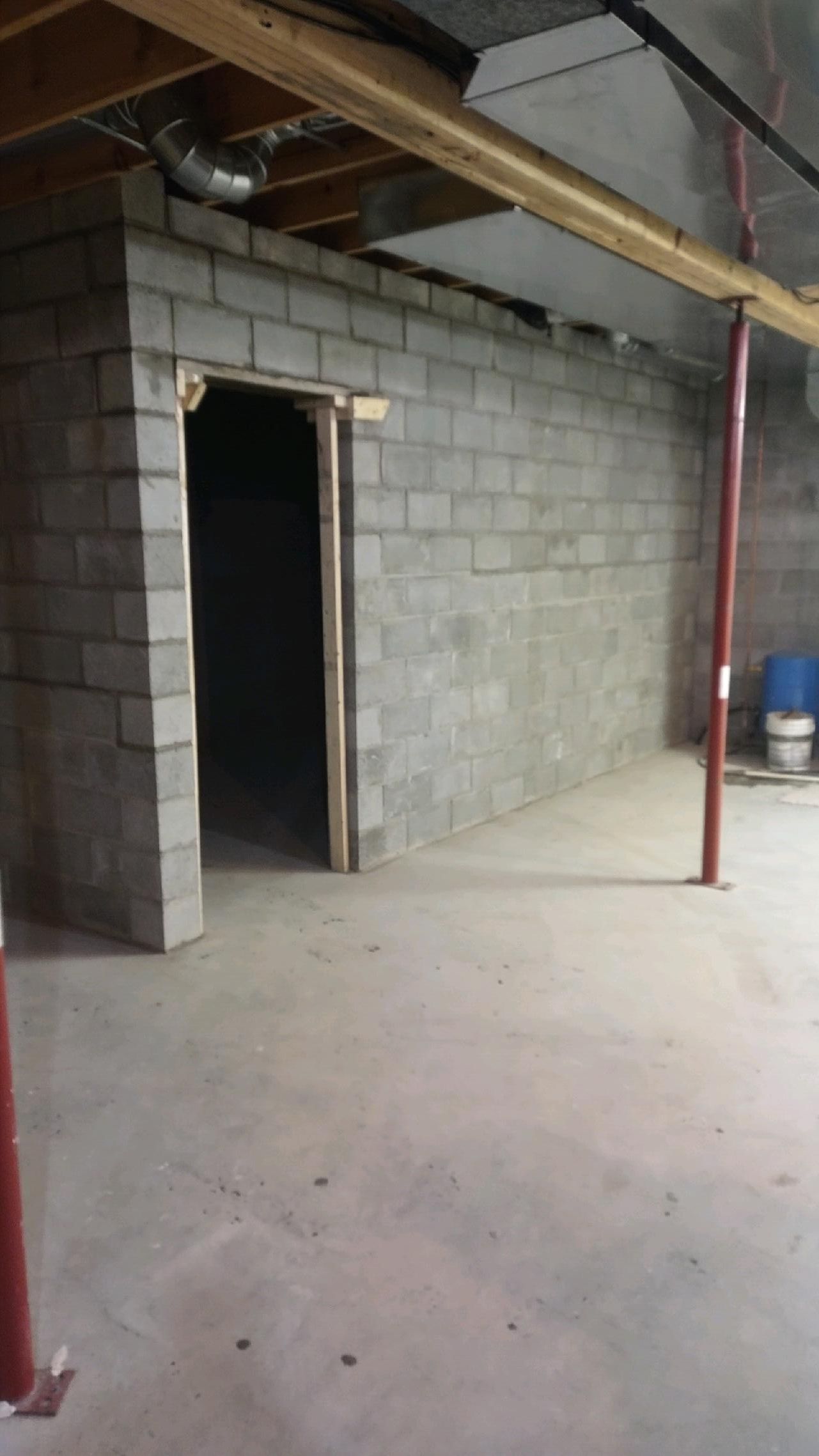 An empty basement with brick walls and a door.