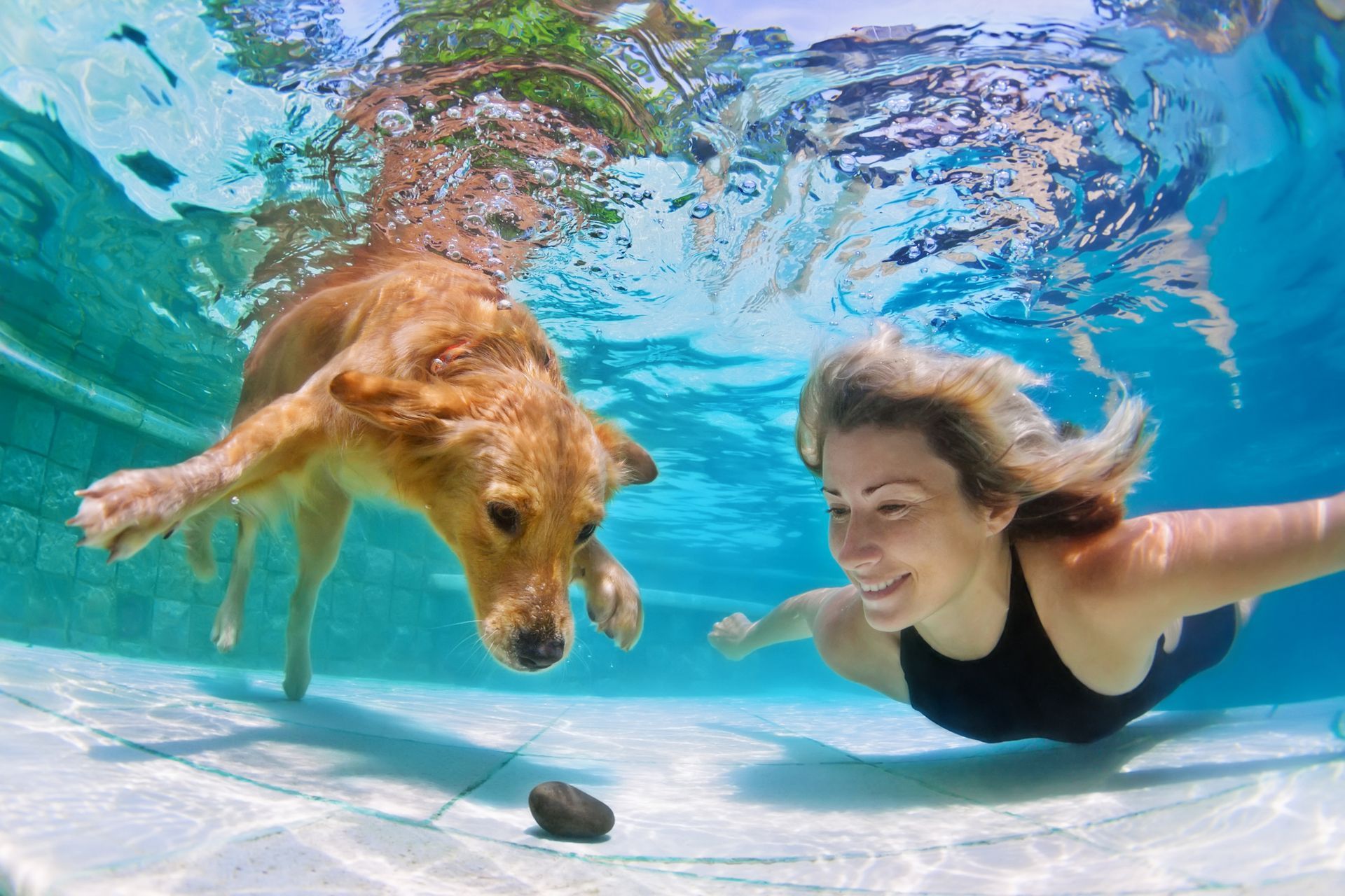 Woman and dog swimming underwater; dog's focused, woman smiles; clear blue pool.