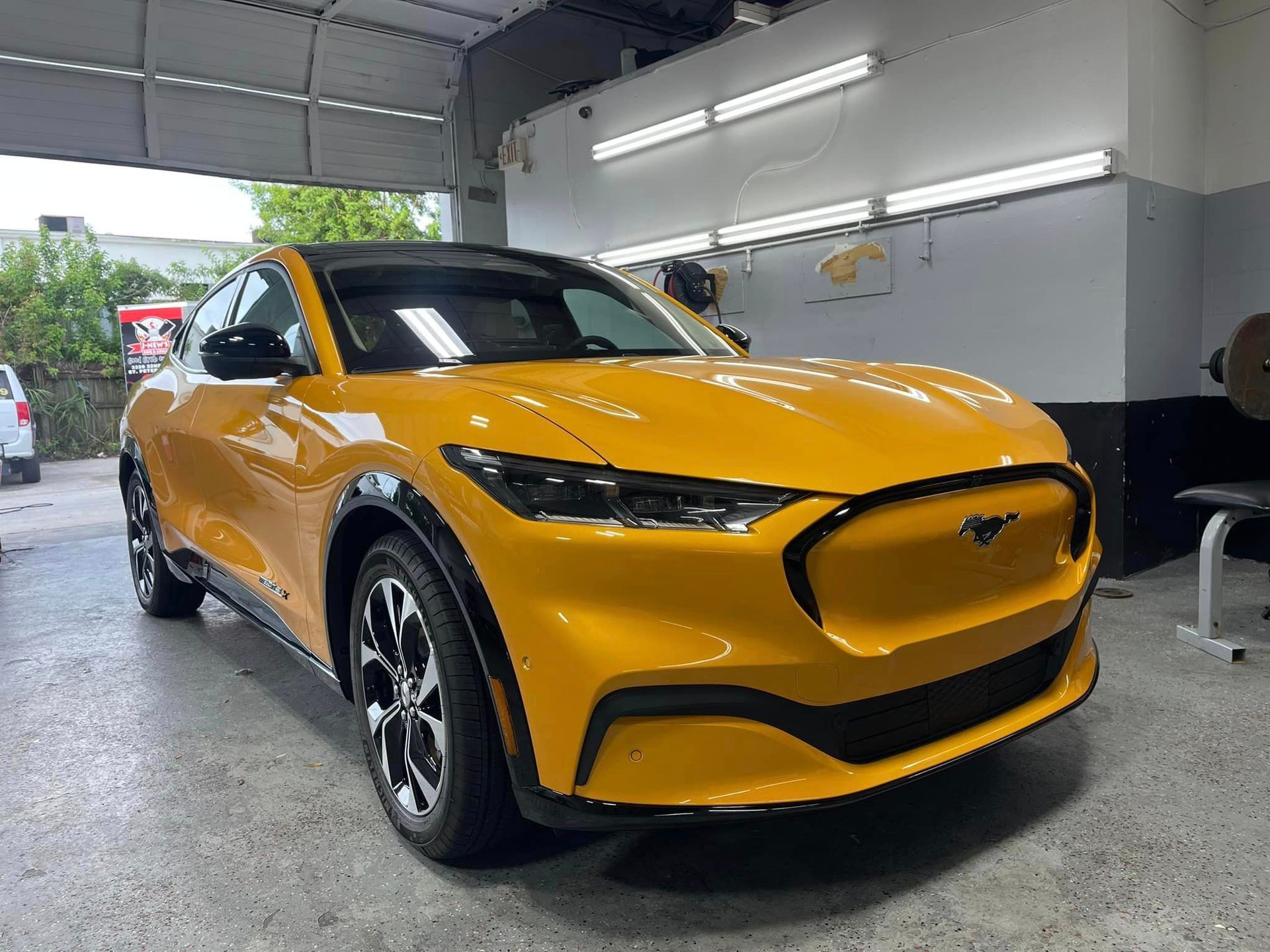 Paint Protection Films