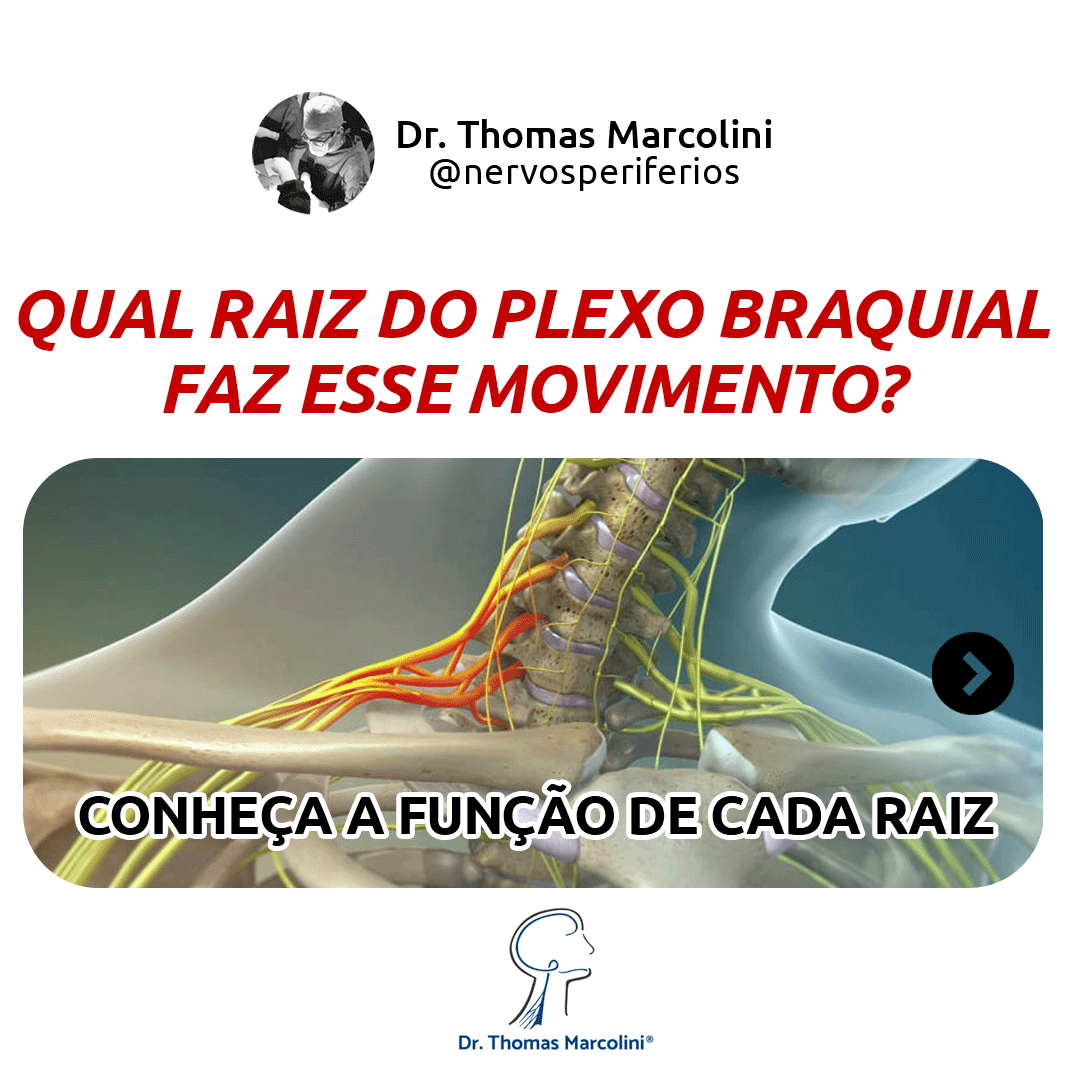 O que é o plexo braquial?