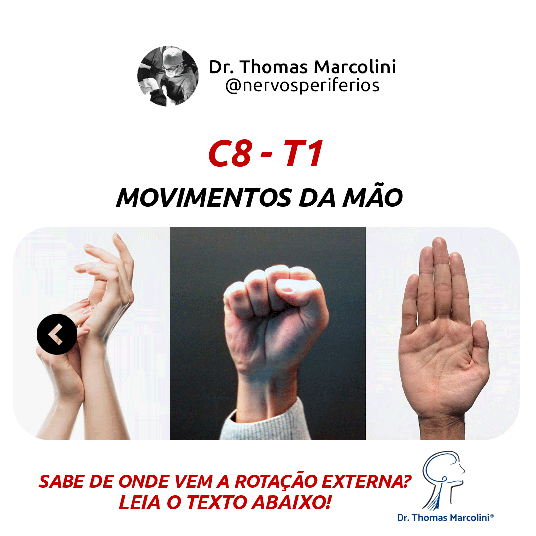 Quais são os nervos da mão? c8 e t1