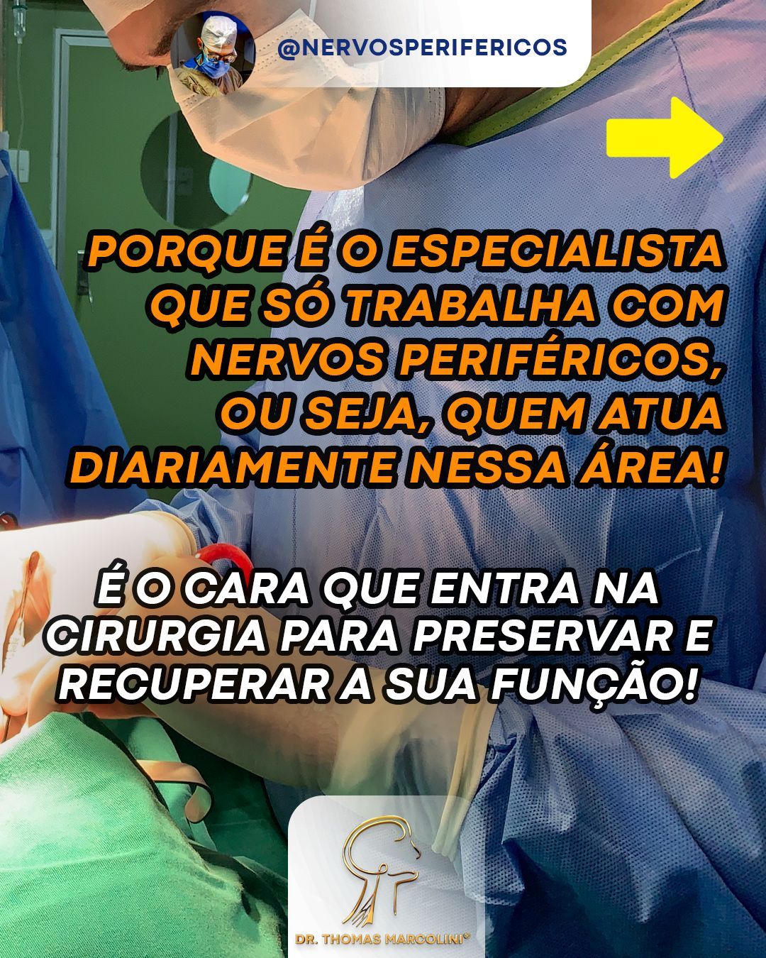 Nervos periféricos no Paraná