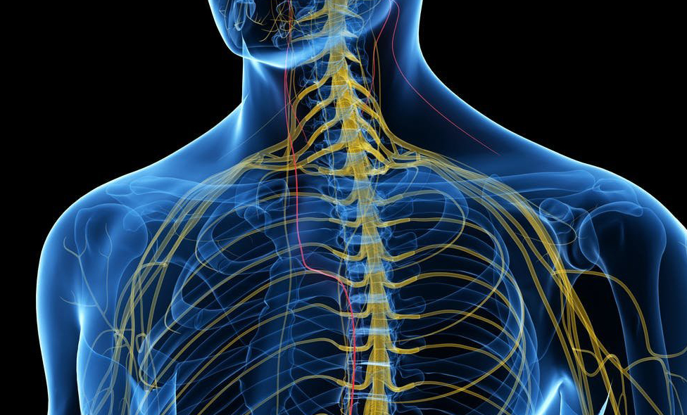 Porque a cirurgia do plexo braquial