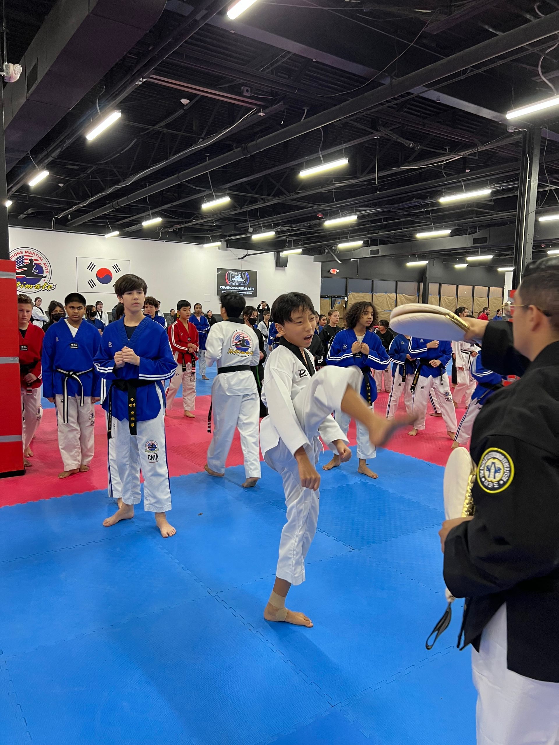 A group of people are practicing martial arts in a gym.