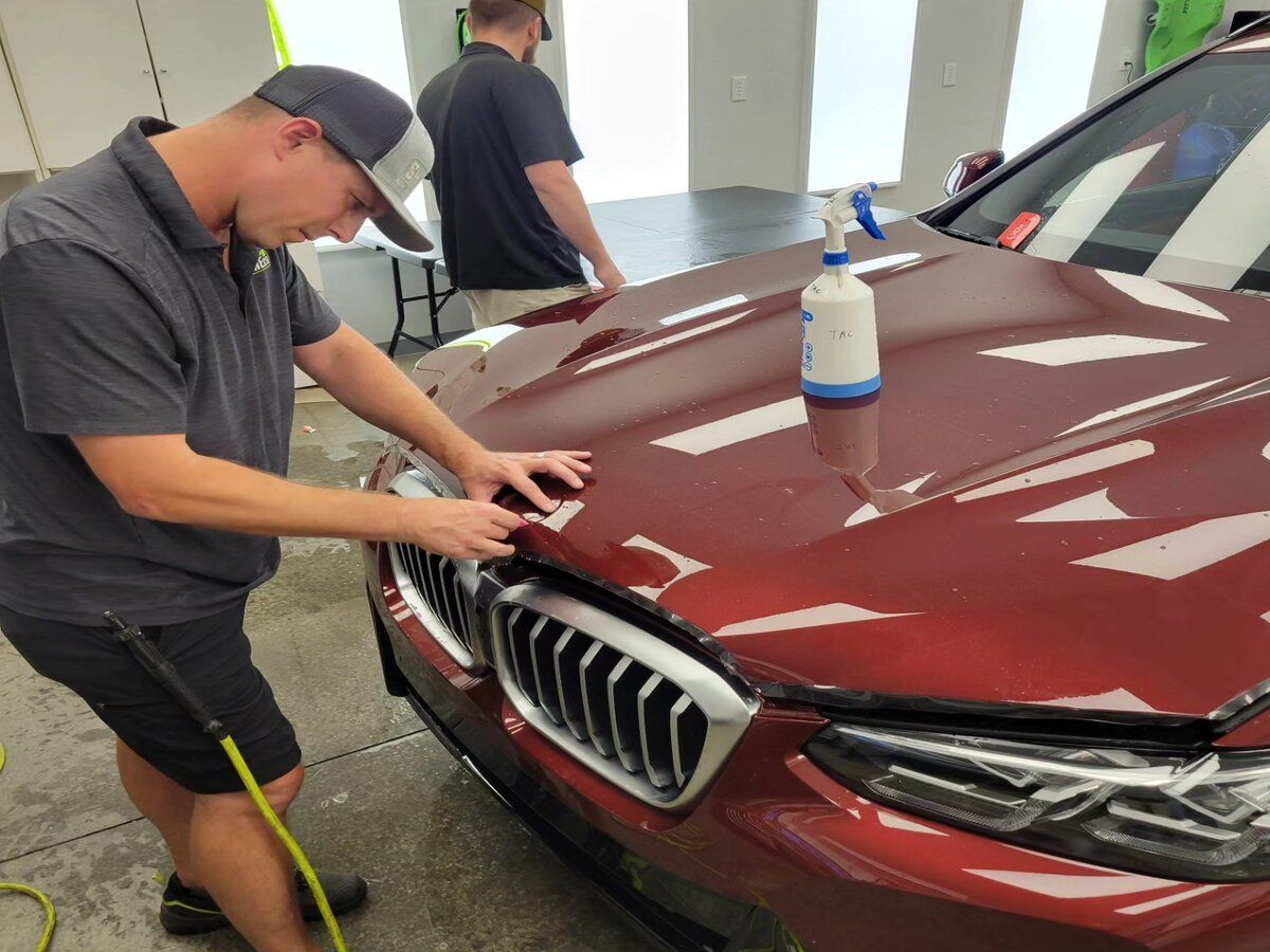 paint protection film