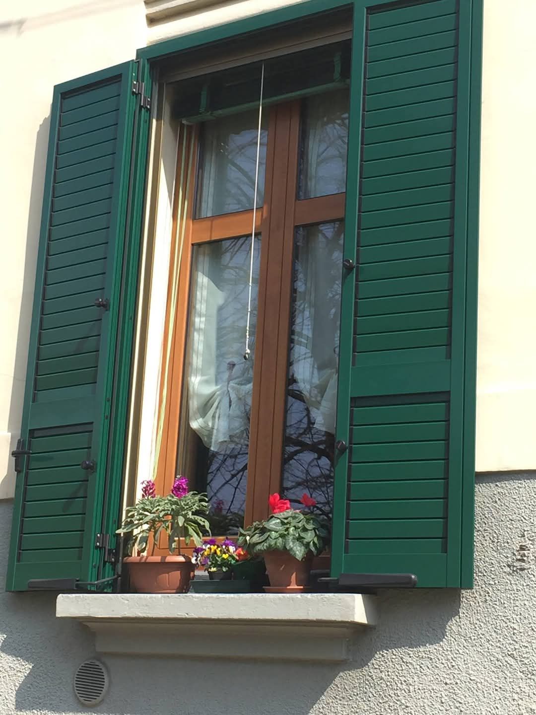 Una finestra con persiane verdi e piante in vaso sul davanzale.