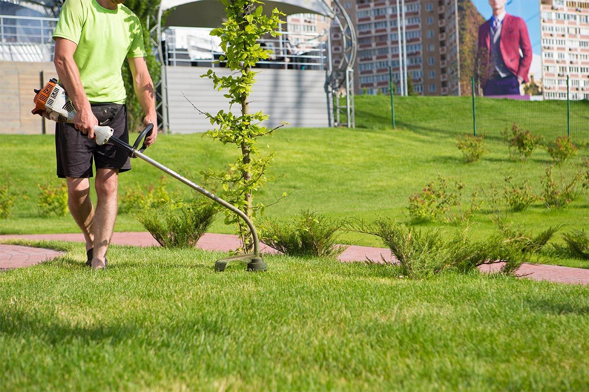 Commercial Lawn Care Service Toowoomba
