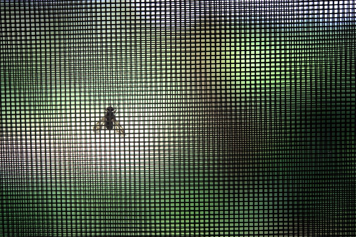 Fly Screen Replacement By Toowoomba Handyman Company