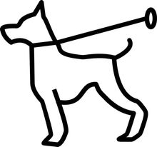 GERARDO EDUCADOR CANINO