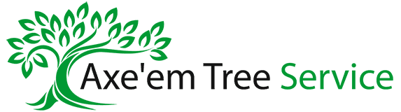 axeem tree service logo