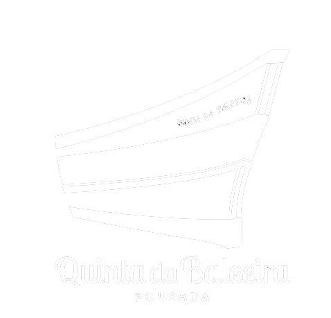 Um desenho em preto e branco de um barco em um fundo branco.