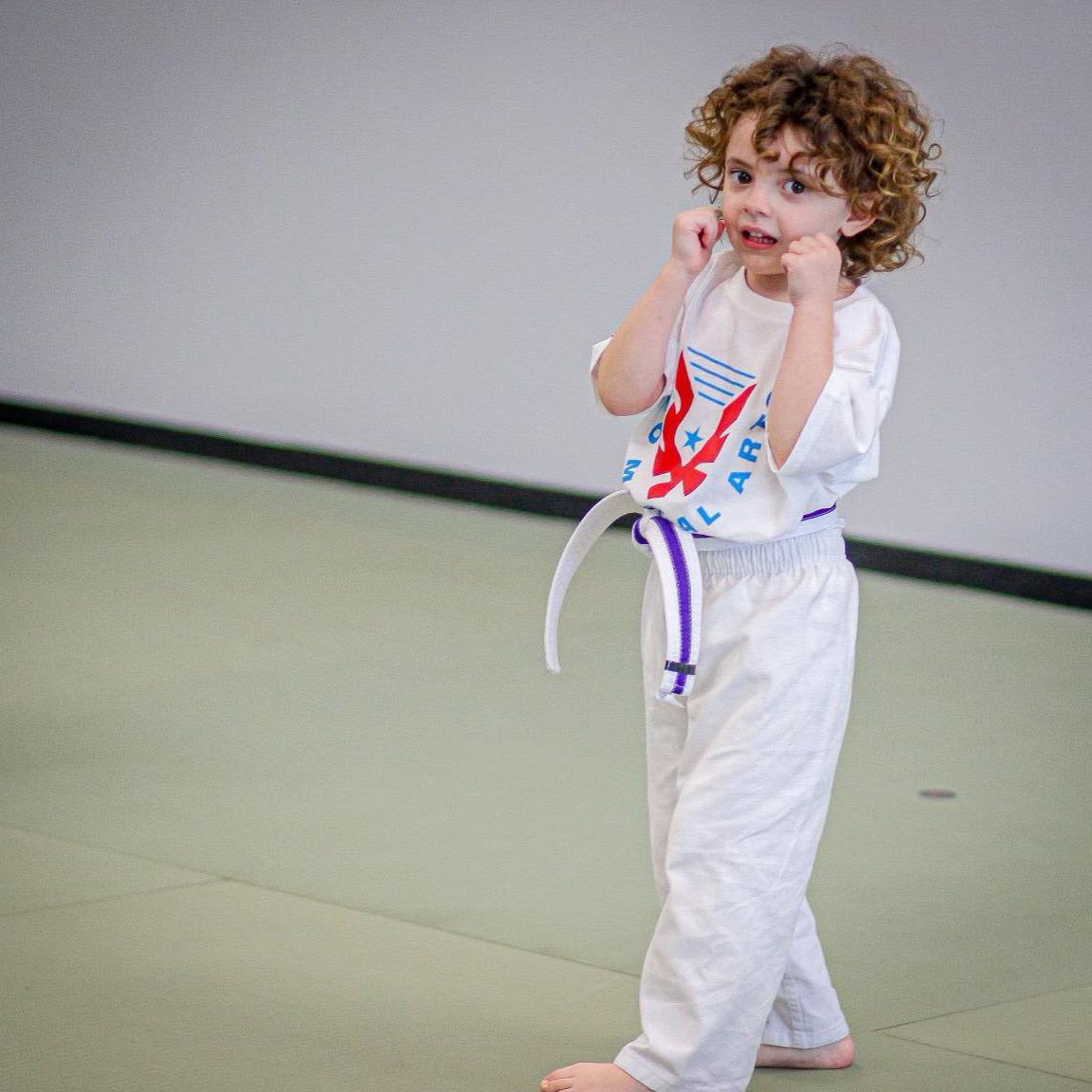 tiny champs martial arts