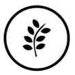 Black and white circular symbol with a wheat stalk inside, indicating a food ingredient.