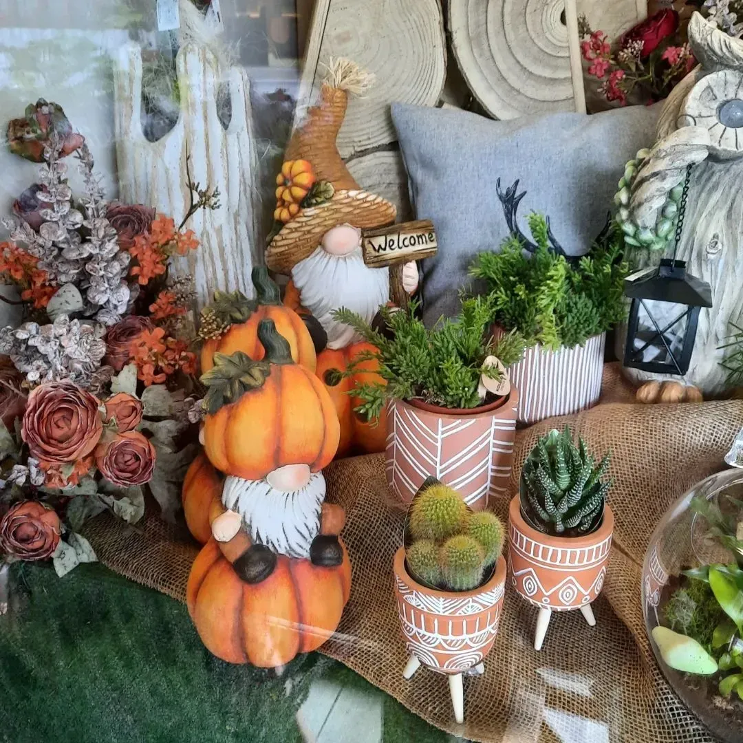 Un'esposizione di gnomi, zucche, cactus e fiori in una finestra.