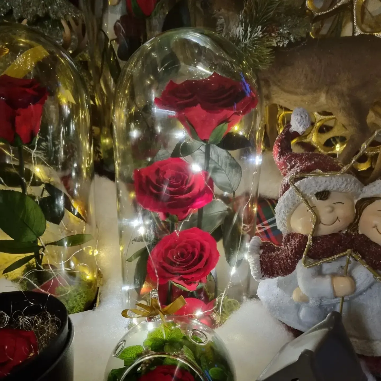 Una cupola di vetro piena di rose rosse e luci