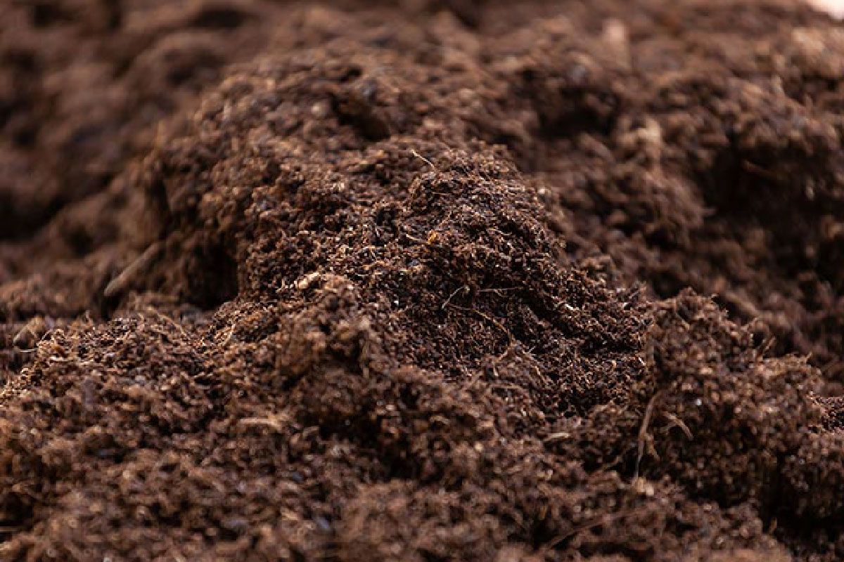 Top Soil