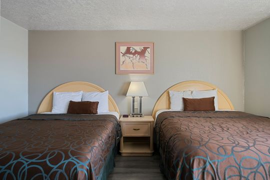 A hotel room with two beds featuring brown patterned bedding, white pillows, and a nightstand with a lamp in between.