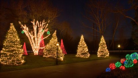 Commercial Tree Lighting Decoration — Butler, NJ — Precision Sprinklers