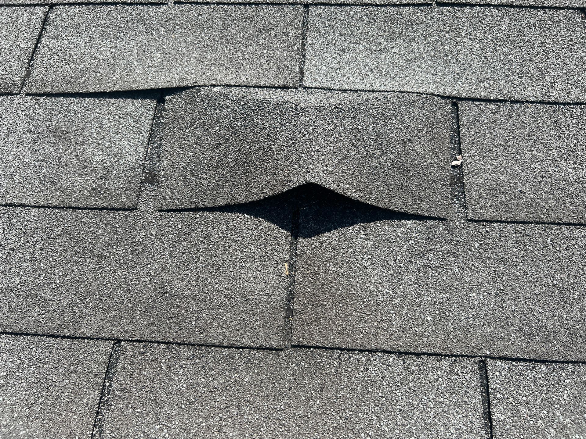 A damaged gray asphalt roof shingle buckling upward, creating a gap in the center.