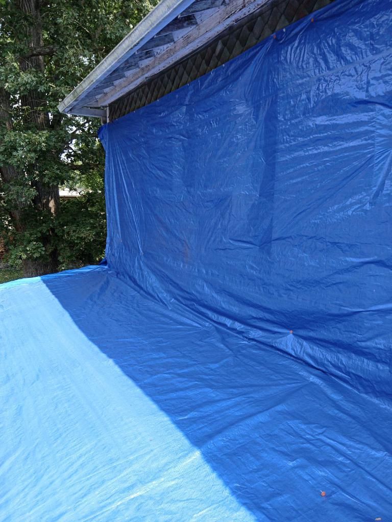 Blue tarps covering the side of a house and the ground next to it, with trees visible in the background.