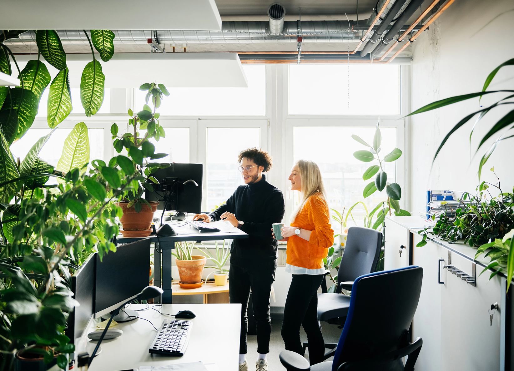 Sandy surface with long, dark shadows from sunlight.