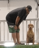 A man standing next to a dog