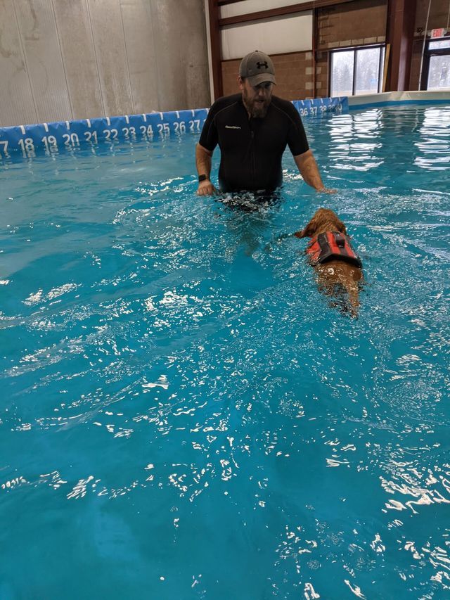 A man in front of a swimming dog