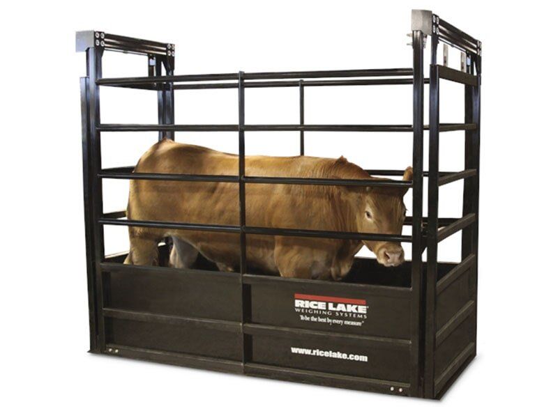 BÁSCULAS GANADERAS