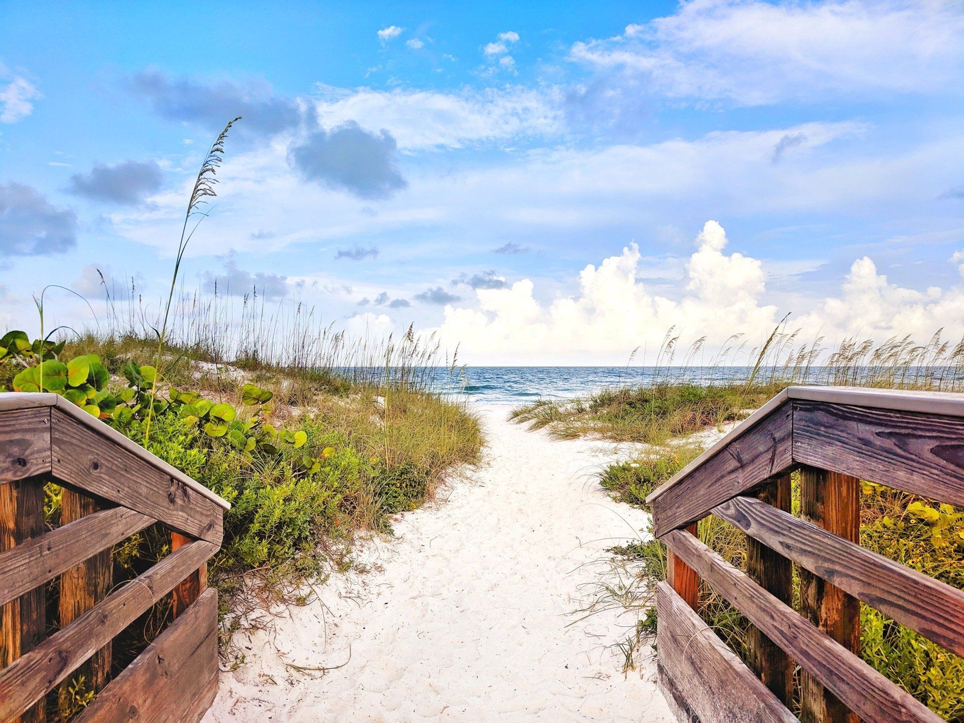 How Much Does A Realtor Make In Florida 