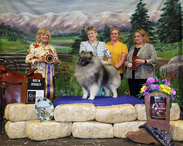 2019 deals keeshond national