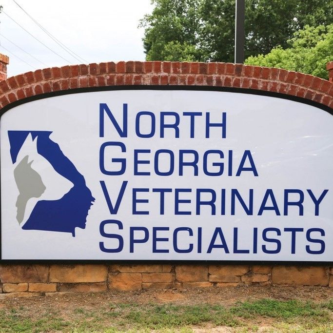 A sign that says north georgia veterinary specialists on it - Buford, GA - North Georgia Veterinary Specialists A sign that says north georgia veterinary specialists on it - Buford, GA - North Georgia Veterinary Specialists