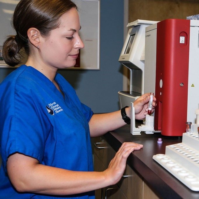 A woman wearing a blue scrub is holding a vial - Buford, GA - North Georgia Veterinary Specialists A woman wearing a blue scrub is holding a vial - Buford, GA - North Georgia Veterinary Specialists