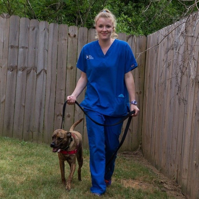A woman in blue scrubs is walking a dog on a leash - Buford, GA - North Georgia Veterinary Specialists A woman in blue scrubs is walking a dog on a leash - Buford, GA - North Georgia Veterinary Specialists