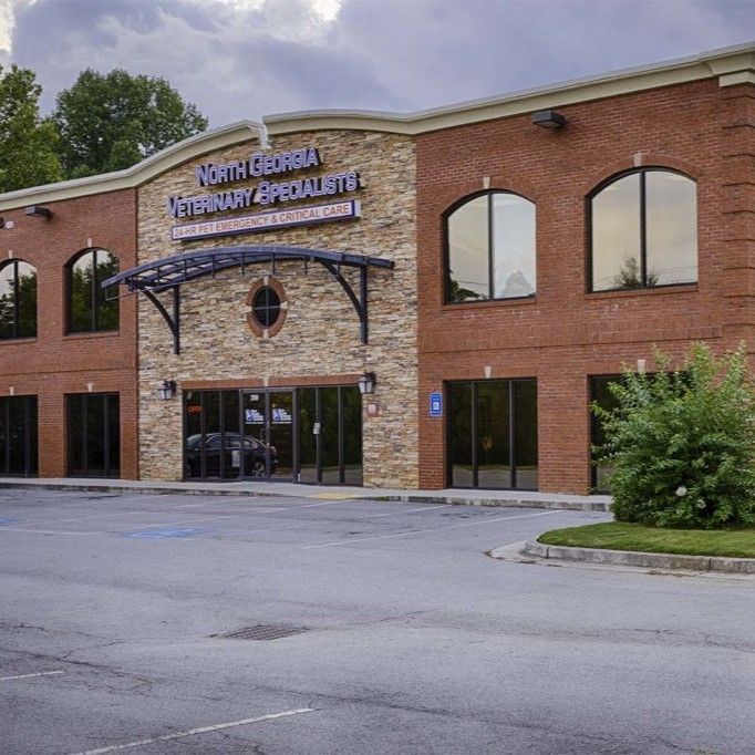 A brick building with a sign that says north georgia veterinary specialist - Buford, GA - North Georgia Veterinary Specialists 
