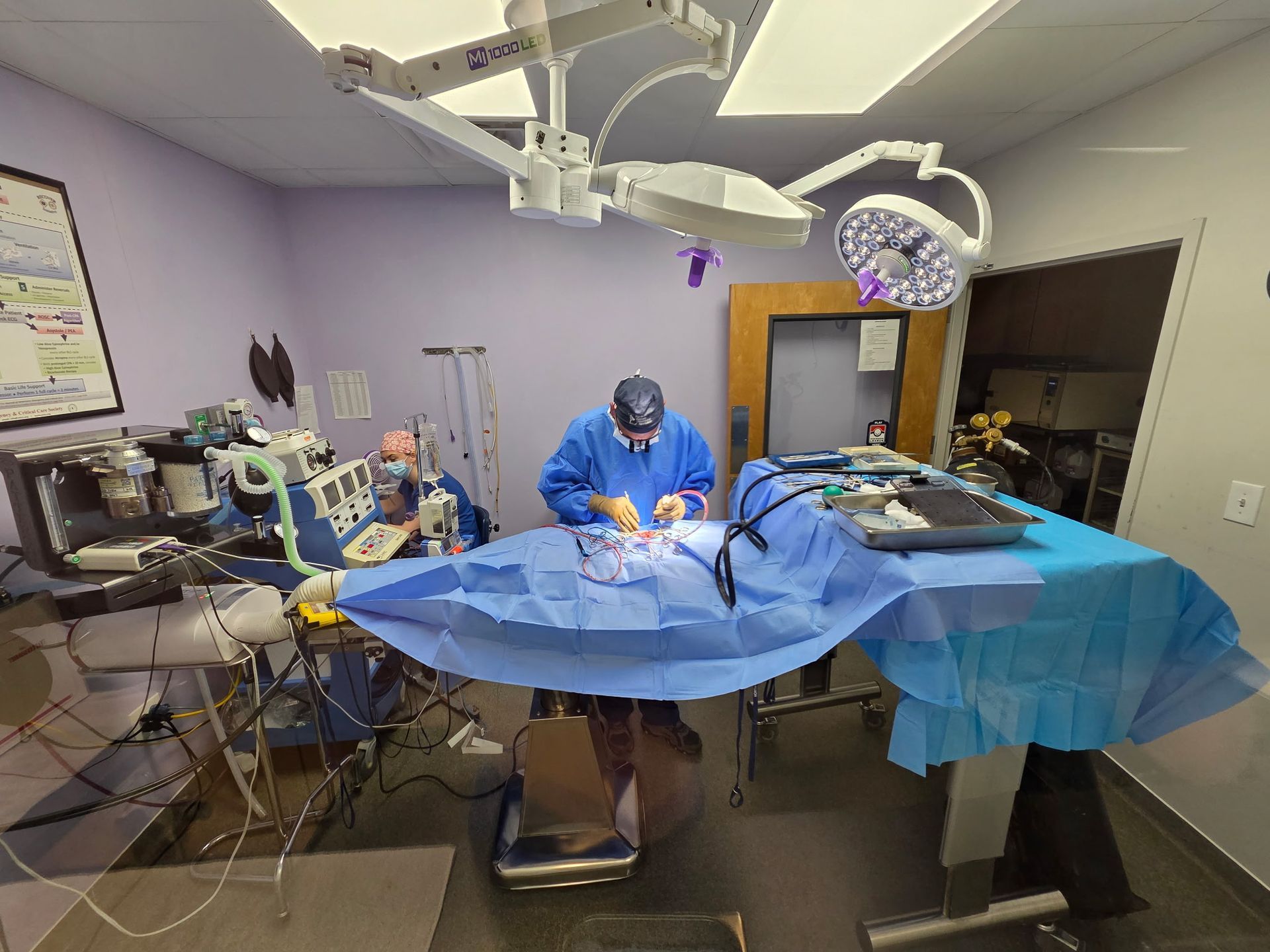 A group of surgeons are operating on a patient in an operating room - Buford, GA - North Georgia Veterinary Specialists 