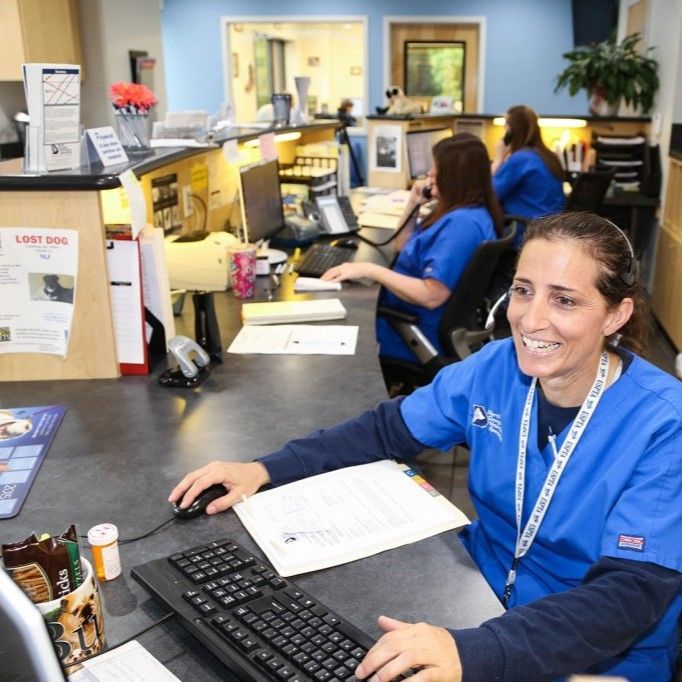 A woman in a blue scrub is typing on a keyboard - Buford, GA - North Georgia Veterinary Specialists A woman in a blue scrub is typing on a keyboard - Buford, GA - North Georgia Veterinary Specialists
